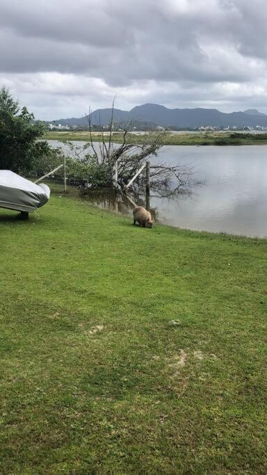 Seja Bem-vindo Ao Seu Refugio A Beira-mar! Apartamento Florianopolis